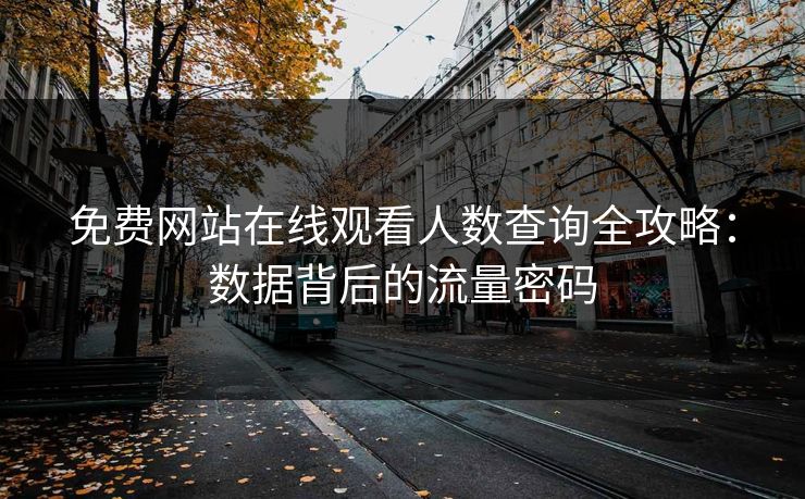 免费网站在线观看人数查询全攻略：数据背后的流量密码