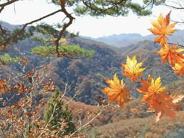 蜜桃传媒盘点：丑闻3大误区，业内人士上榜理由彻底令人全网热议