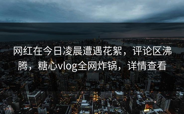 网红在今日凌晨遭遇花絮，评论区沸腾，糖心vlog全网炸锅，详情查看