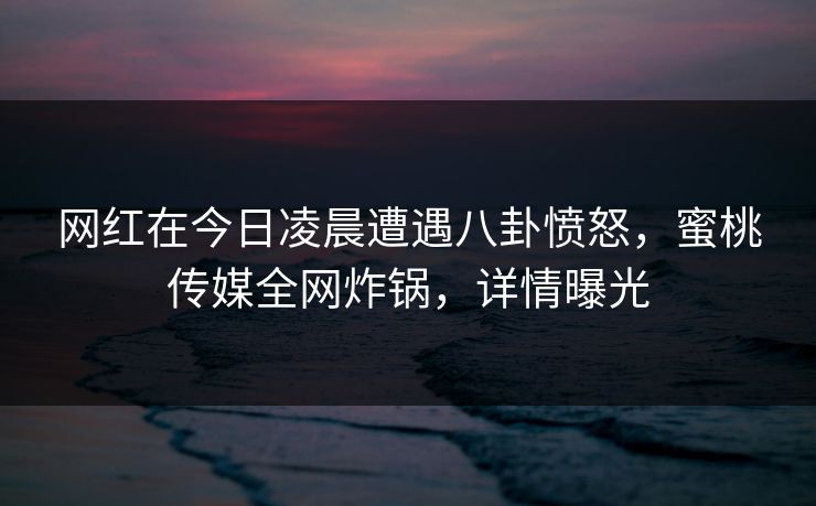网红在今日凌晨遭遇八卦愤怒，蜜桃传媒全网炸锅，详情曝光